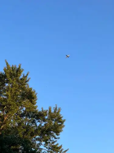 Soaring high under a vast, clear sky.